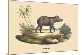 Tapir-E.f. Noel-Mounted Premium Giclee Print