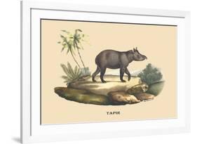 Tapir-E.f. Noel-Framed Art Print