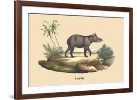 Tapir-E.f. Noel-Framed Art Print