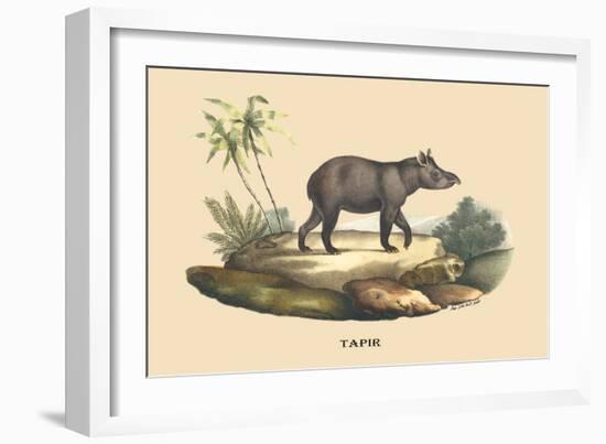 Tapir-E.f. Noel-Framed Art Print