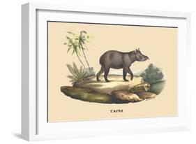 Tapir-E.f. Noel-Framed Art Print