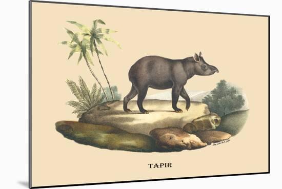 Tapir-E.f. Noel-Mounted Art Print