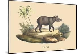 Tapir-E.f. Noel-Mounted Art Print