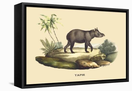 Tapir-E.f. Noel-Framed Stretched Canvas