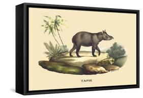 Tapir-E.f. Noel-Framed Stretched Canvas