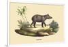 Tapir-E.f. Noel-Framed Premium Giclee Print