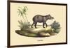 Tapir-E.f. Noel-Framed Premium Giclee Print