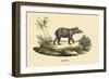 Tapir-E.f. Noel-Framed Premium Giclee Print