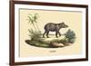 Tapir-E.f. Noel-Framed Art Print