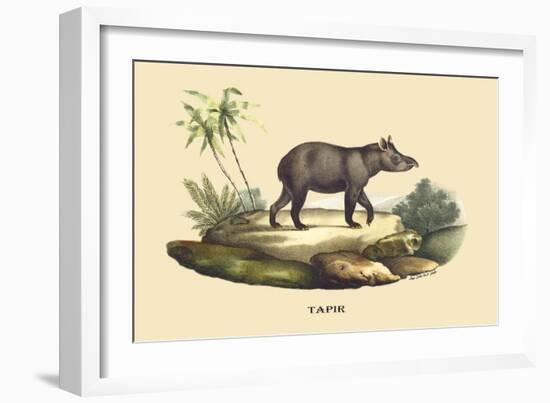 Tapir-E.f. Noel-Framed Art Print