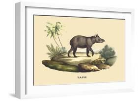 Tapir-E.f. Noel-Framed Art Print