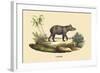 Tapir-E.f. Noel-Framed Art Print