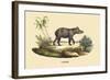 Tapir-E.f. Noel-Framed Art Print