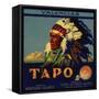 Tapo Brand - Santa Susana, California - Citrus Crate Label-Lantern Press-Framed Stretched Canvas