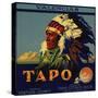 Tapo Brand - Santa Susana, California - Citrus Crate Label-Lantern Press-Stretched Canvas