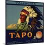 Tapo Brand - Santa Susana, California - Citrus Crate Label-Lantern Press-Mounted Art Print