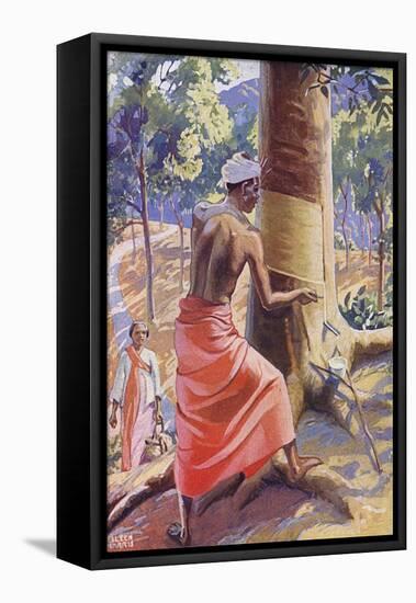 Tapping a Rubber Tree-null-Framed Stretched Canvas