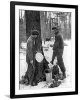 Tapping for Maple Syrup, Canada, 1936-null-Framed Giclee Print