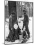 Tapping for Maple Syrup, Canada, 1936-null-Mounted Giclee Print