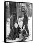 Tapping for Maple Syrup, Canada, 1936-null-Framed Stretched Canvas