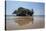 Taprobane Island at Low Tide, Weligama, Sri Lanka, Indian Ocean, Asia-Charlie-Stretched Canvas