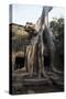 Taprohm Kei Temple, Angkor Thom, Siem Reap, Cambodia-Robert Harding-Stretched Canvas