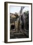 Taprohm Kei Temple, Angkor Thom, Siem Reap, Cambodia-Robert Harding-Framed Photographic Print