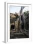 Taprohm Kei Temple, Angkor Thom, Siem Reap, Cambodia-Robert Harding-Framed Photographic Print