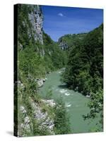 Tara Canyon and Tara River, Tramontana, Montenegro, Europe-Stuart Black-Stretched Canvas