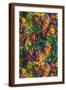 Brown Frame