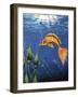 Tara-Martin Nasim-Framed Giclee Print