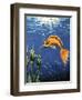 Tara-Martin Nasim-Framed Giclee Print