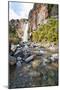 Taranaki Falls-Matthew Williams-Ellis-Mounted Photographic Print