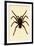 Tarantula, 1833-39-null-Framed Giclee Print