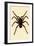 Tarantula, 1833-39-null-Framed Giclee Print