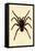 Tarantula, 1833-39-null-Framed Stretched Canvas