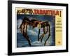 Tarantula!, 1955-null-Framed Photo