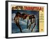 Tarantula!, 1955-null-Framed Photo