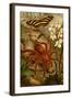 Tarantula - Bird Eating Spider-F.W. Kuhnert-Framed Art Print