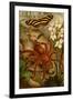 Tarantula - Bird Eating Spider-F.W. Kuhnert-Framed Art Print