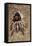 Tarantula, Chilean Rose Bird-Eating Spider Moulting-null-Framed Stretched Canvas