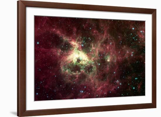 Tarantula Nebula Space-null-Framed Photo