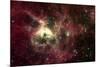 Tarantula Nebula Space-null-Mounted Photo