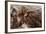 Tarantula Spider, Arenal, Alajuela Province, Costa Rica, Central America-Rob Francis-Framed Photographic Print