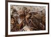 Tarantula Spider, Arenal, Alajuela Province, Costa Rica, Central America-Rob Francis-Framed Photographic Print