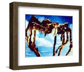 Tarantula-null-Framed Photo