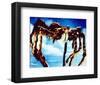 Tarantula-null-Framed Photo