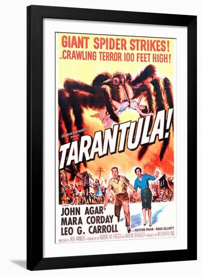 Tarantula-null-Framed Photo