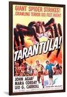 Tarantula-null-Framed Photo
