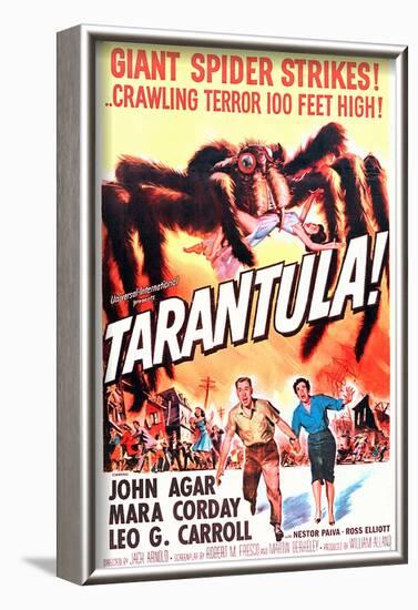 Tarantula-null-Framed Photo